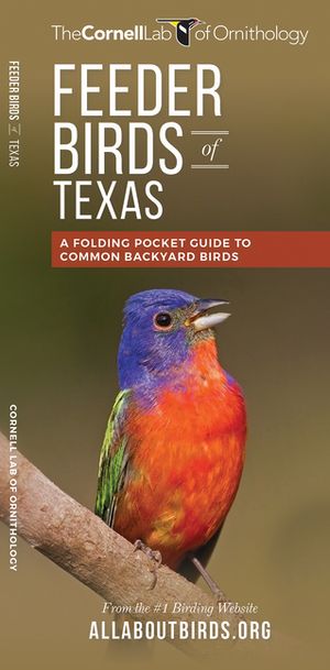Feeder Birds of Texas: A Folding Pocket Guide to Common Backyard Birds image number 0