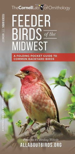 Feeder Birds of the Midwest: A Folding Pocket Guide to Common Backyard Birds image number 0