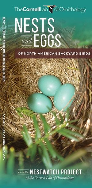 Nests and Eggs of North American Backyard Birds image number 0