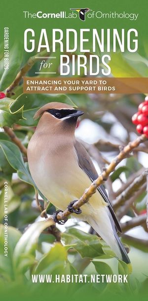 Gardening for Birds: Enhancing Your Yard to Attract and Support Birds image number 0