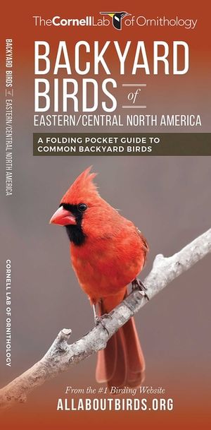 Backyard Birds of Eastern/Central North America: A Folding Pocket Guide to Common Backyard Birds image number 0