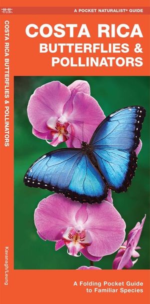 Costa Rica Butterflies & Pollinators: A Folding Pocket Guide to Familiar Species image number 0