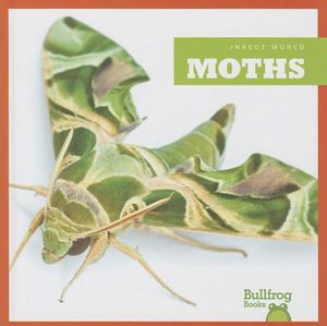 Moths image number 0
