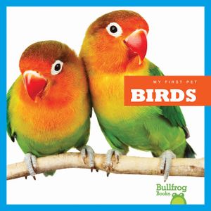 Birds image number 0