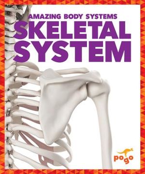 Skeletal System image number 0
