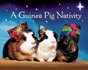 A Guinea Pig Nativity image number 0
