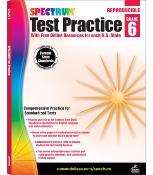 Spectrum Test Practice, Grade 6 image number 0