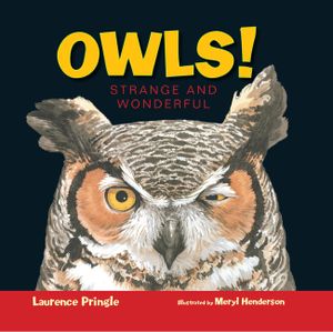 Owls!: Strange and Wonderful image number 0