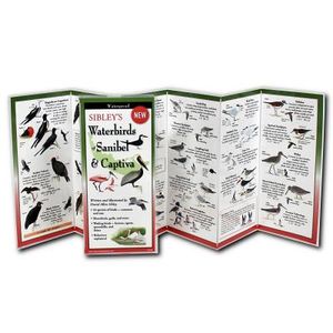 Sibley's Waterbirds of Sanibel & Captiva image number 0
