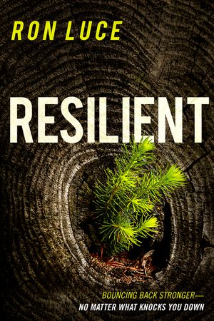 Resilient image number 0