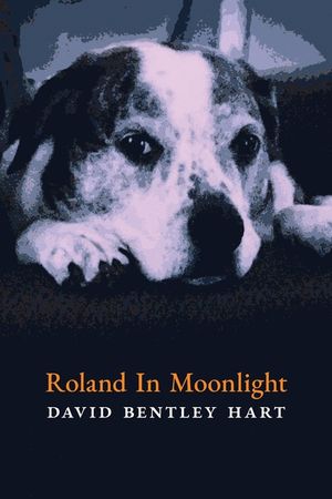 Roland in Moonlight image number 0