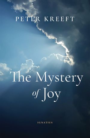The Mystery of Joy image number 0