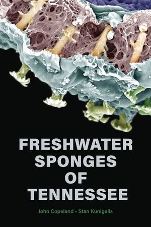 Freshwater Sponges of Tennessee image number 0