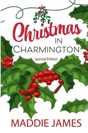 A Charmington Christmas: Special Edition image number 0