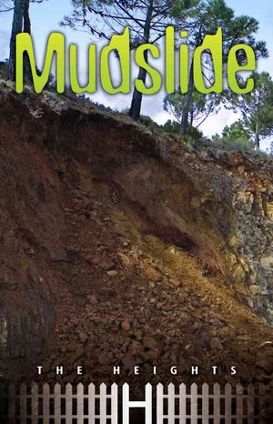 Mudslide image number 0