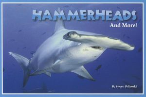 Hammerheads and More! image number 0