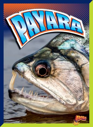 Payara image number 0