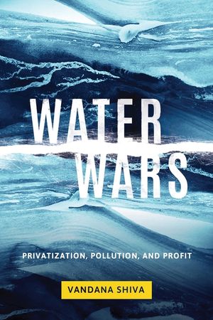 Water Wars: Privatization, Pollution, and Profit image number 0