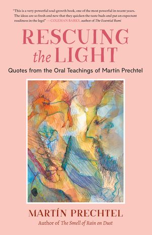 Rescuing the Light: Quotes from the Oral Teachings of Mart&iacute;n Prechtel image number 0