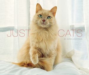 Just Cats image number 0