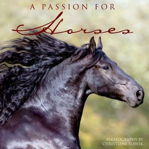 Passion for Horses image number 0