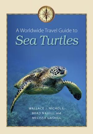 A Worldwide Travel Guide to Sea Turtles image number 0