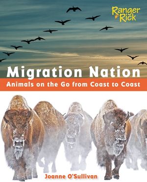 Migration Nation (National Wildlife Federation): Animals on the Go from Coast to Coast image number 0