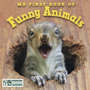 My First Book of Funny Animals (National Wildlife Federation) image number 0