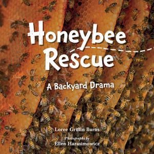 Honeybee Rescue: A Backyard Drama image number 0