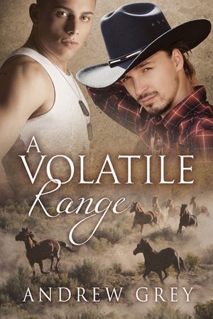 A Volatile Range image number 0