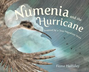 Numenia and the Hurricane: Inspired by a True Migration Story image number 0
