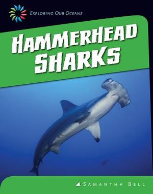 Hammerhead Sharks image number 0