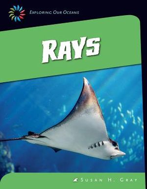 Rays image number 0