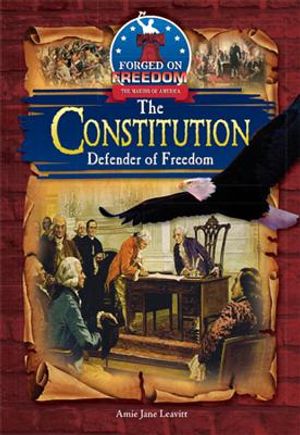 The Constitution: Defender of Freedom image number 0