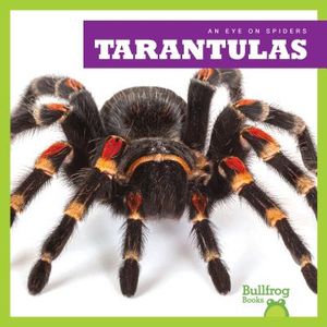 Tarantulas image number 0