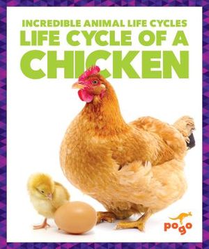 Life Cycle of a Chicken image number 0