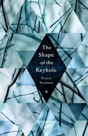 The Shape of the Keyhole image number 0