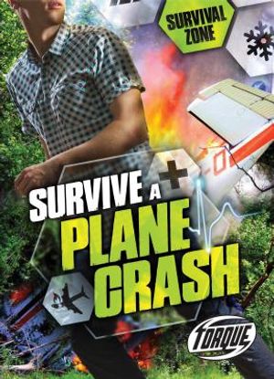 Survive a Plane Crash image number 0