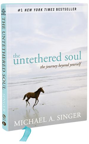 The Untethered Soul: The Journey Beyond Yourself image number 0