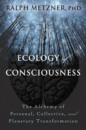 Ecology of Consciousness: The Alchemy of Personal, Collective, and Planetary Transformation image number 0