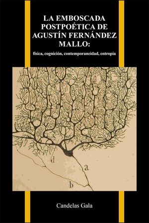 La Emboscada Postpo&eacute;tica de Agust&iacute;n Fern&aacute;ndez Mallo:: F&iacute;sica, Cognici&oacute;n, Contemporaneidad, Entrop&iacute;a image number 0