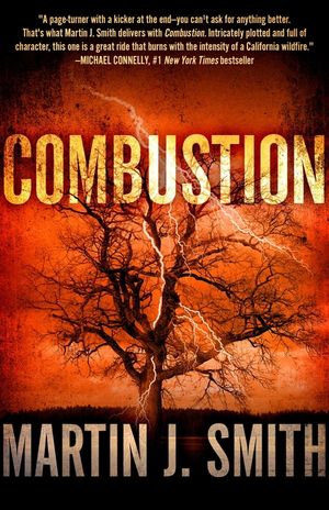 Combustion image number 0