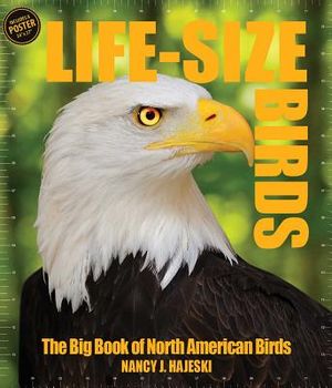 Life Size Birds image number 0
