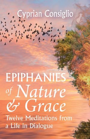 Epiphanies of Nature and Grace: Twelve Meditations from a Life in Dialogue image number 0