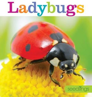 Seedlings: Ladybugs image number 0