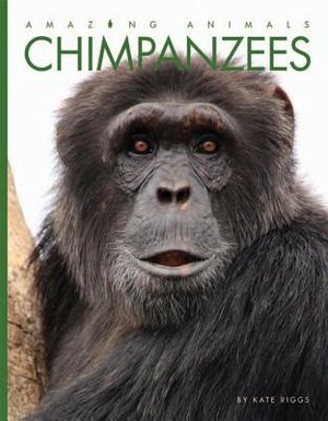 Chimpanzees image number 0