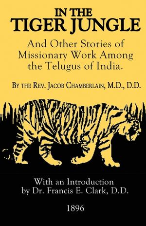 In The Tiger Jungle image number 0