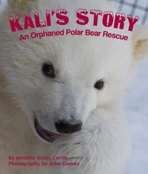 Kali's Story: An Orphaned Polar Bear Rescue image number 0