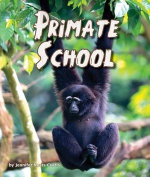Primate School image number 0