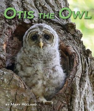 Otis the Owl image number 0